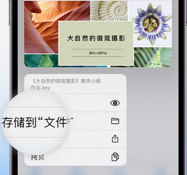 柞水apple维修中心分享iPhone文件应用中存储和找到下载文件