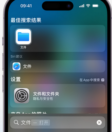 柞水apple维修中心分享iPhone文件应用中存储和找到下载文件