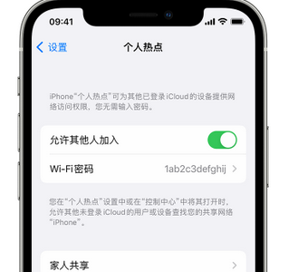 柞水apple服务站点分享iPhone上个人热点丢失了怎么办 