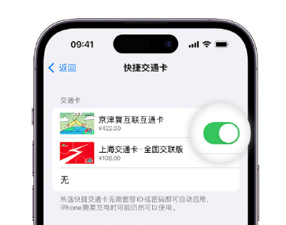 柞水apple维修点分享iPhone上更换Apple Pay快捷交通卡手绘卡面 