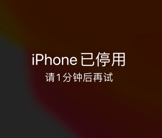 柞水苹果手机维修分享:iPhone 显示“不可用”或“已停用”怎么办？还能保留数据吗？ 