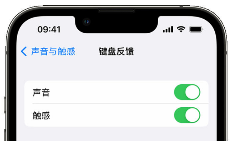 柞水苹果手机维修分享iPhone 14触感键盘使用方法 