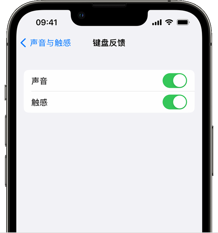 柞水苹果14维修店分享如何在 iPhone 14 机型中使用触感键盘 