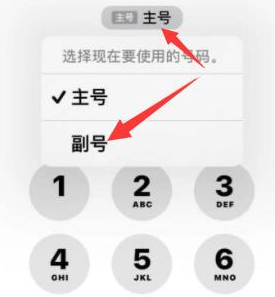 柞水苹果14维修店分享iPhone 14 Pro Max使用副卡打电话的方法 