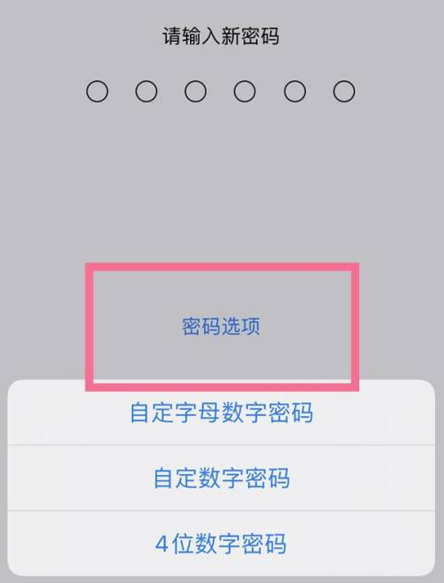 柞水苹果14维修分享iPhone 14plus设置密码的方法 