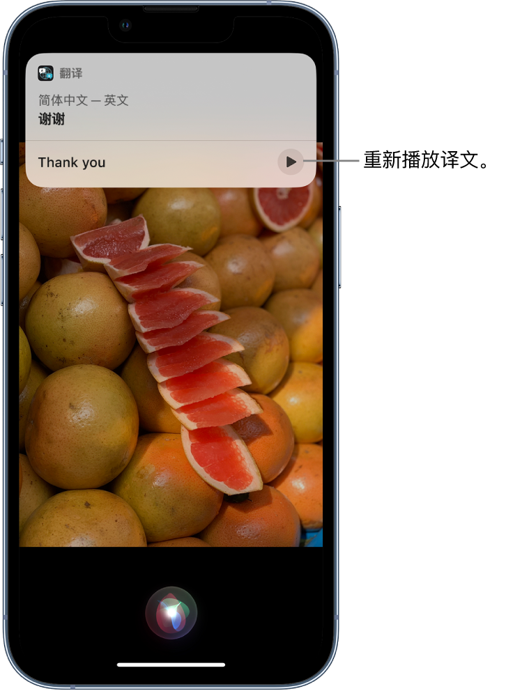 柞水苹果14维修分享 iPhone 14 机型中使用 Siri：了解 Siri 能帮你做什么 