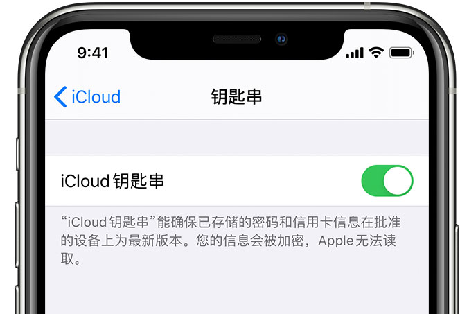 柞水苹果手机维修分享在 iPhone 上开启 iCloud 钥匙串之后会储存哪些信息 