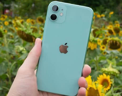 柞水苹果维修点分享iPhone 11锁屏密码认知与使用科普 